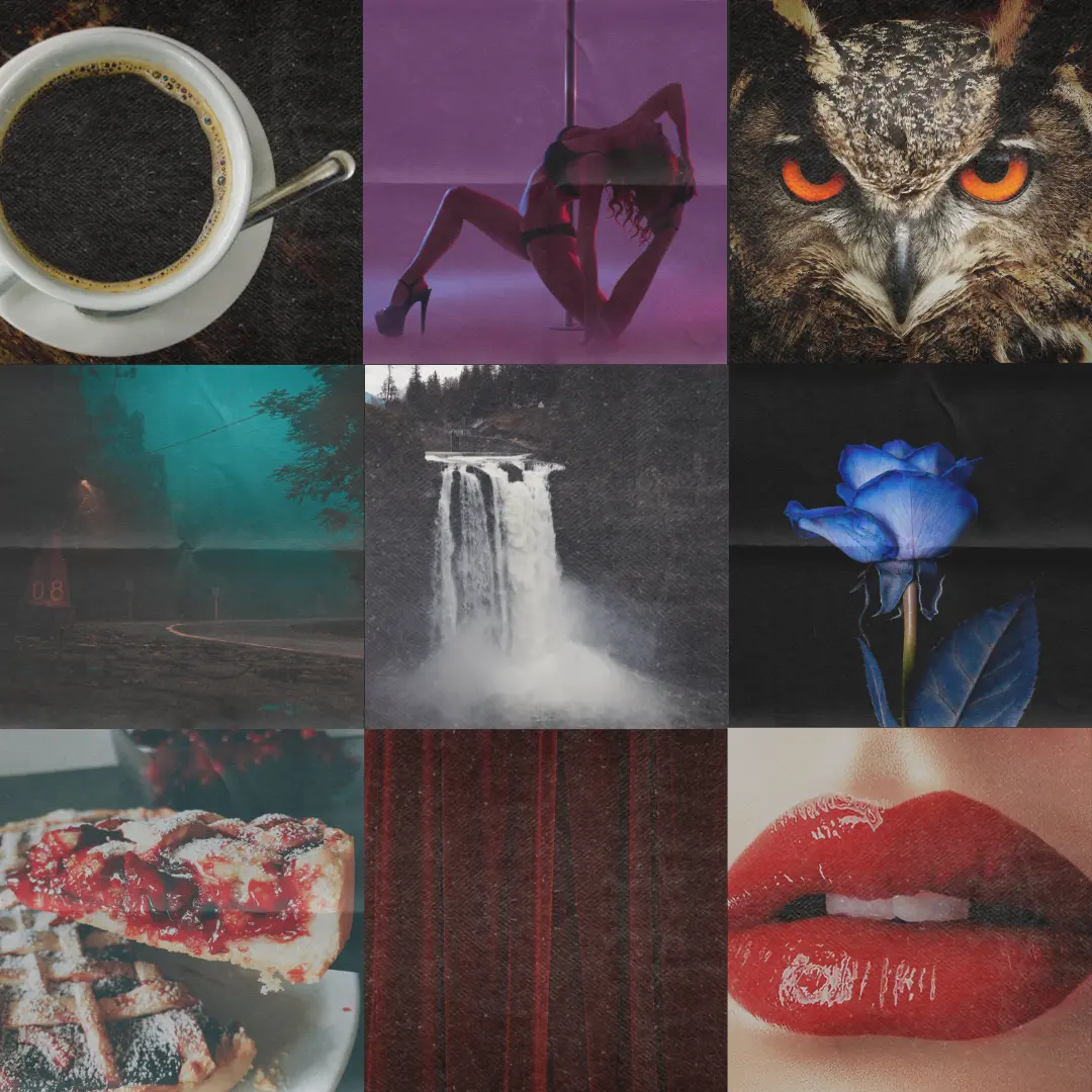 Blue Rose Moodboard