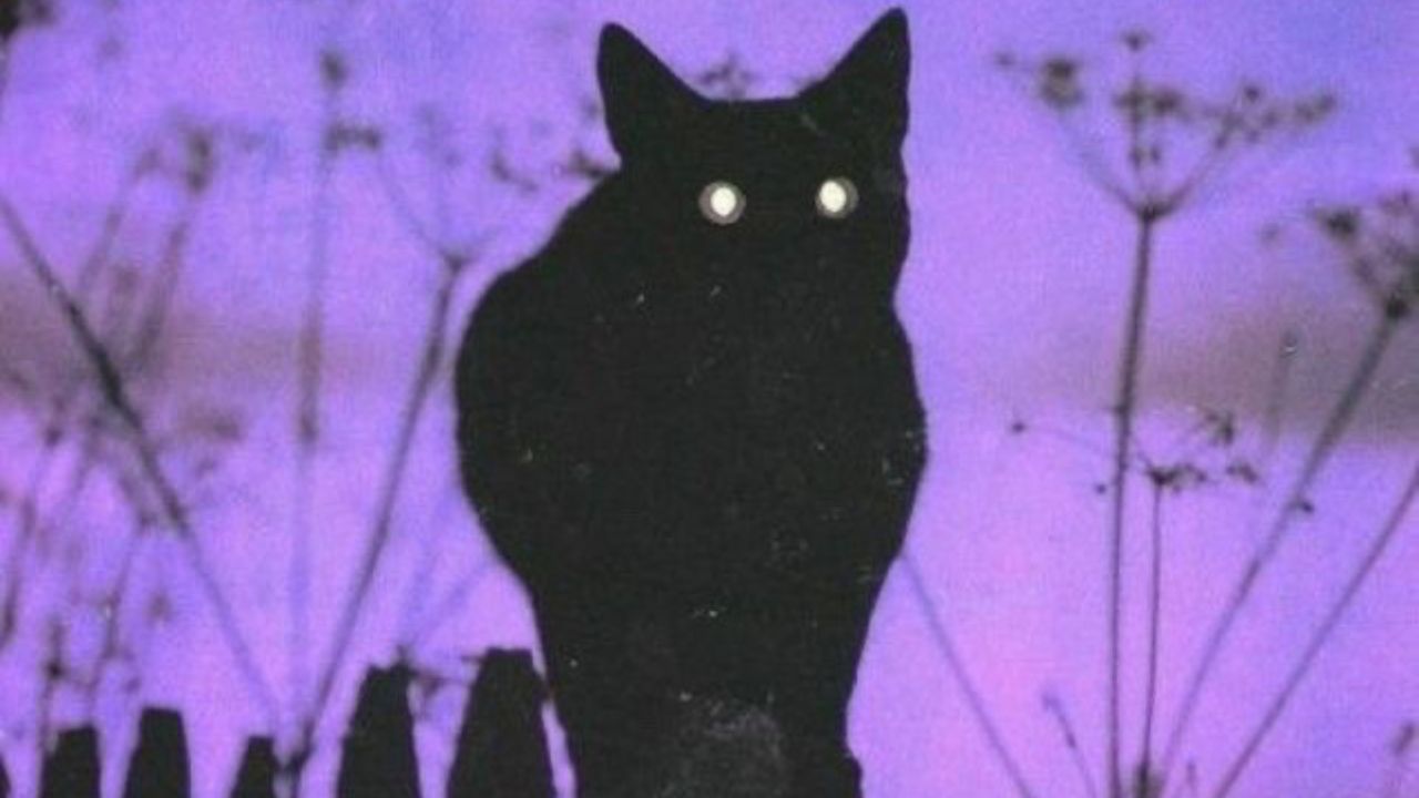 Black as Midnight on a Moonless Night