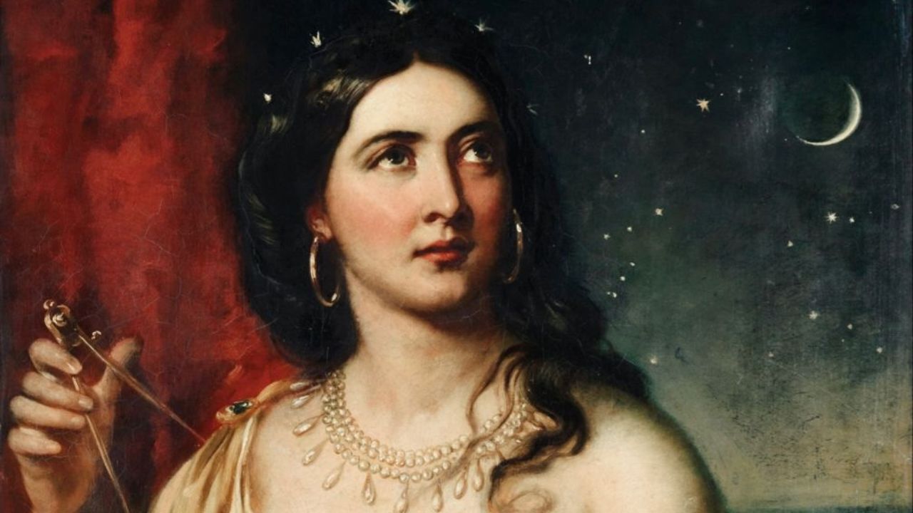 Song of the Cosmic Forest