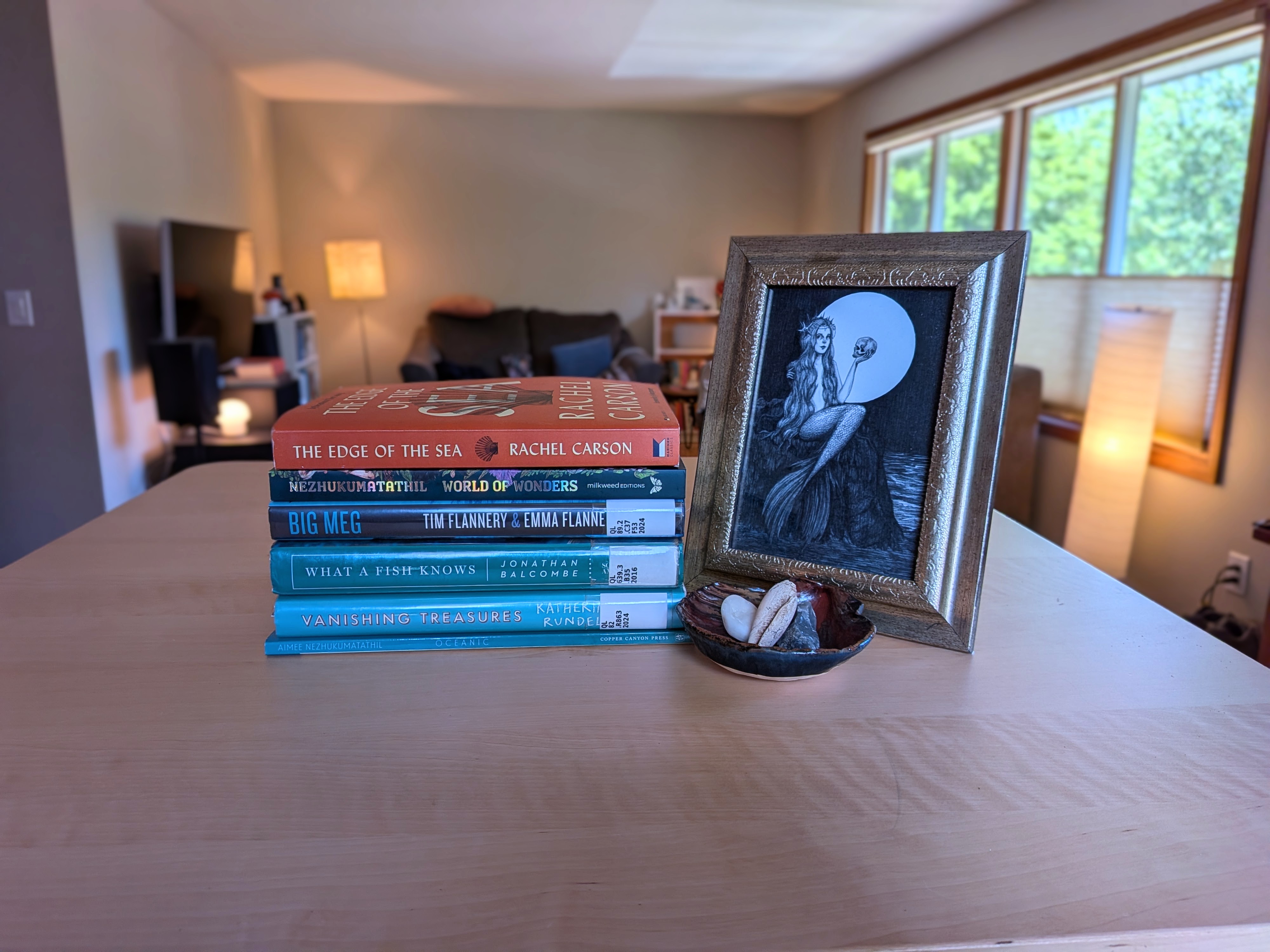 Ocean Books